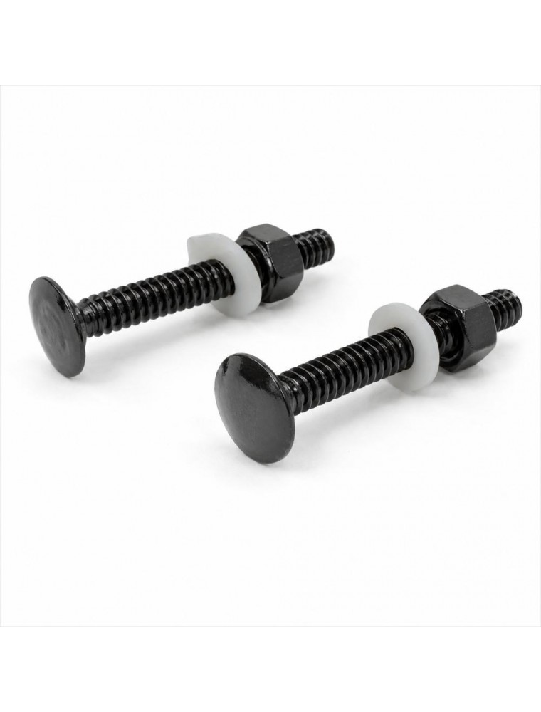 JUEGO DOS TORNILLOS PARA PALANCA DESCARGADOR CISTE